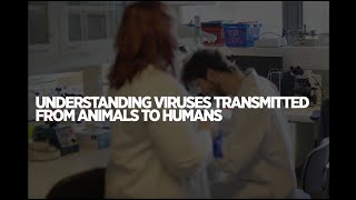 Understanding viruses transmitted from animals to humans | University of Helsinki