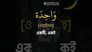 শব্দ ভিডিও ৫৯ ।। প্রতিদিন আল কুরআনের ৫ টি শব্দ শিখুন ।। Learn 5 words of Quran every day