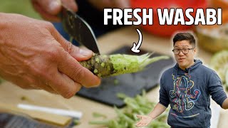 We Went To The Only Wasabi Farm In The UK! - The Wasabi Company