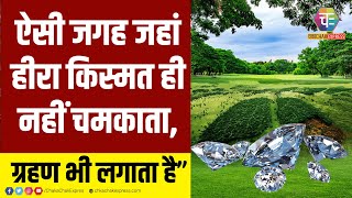 जंगल के लाखों पेड़ कट रहे | बक्सवाहा जंगल में मिला हीरों का भंडार | Diamond Mine in MP Bakshwaha