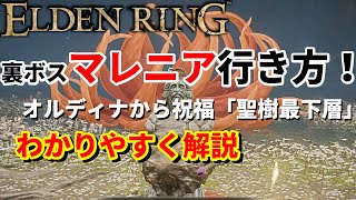 エルデンリング マレニア行き方 各祝福！ボス最短ルート解説！オルディナ～ミケラの聖樹～エブレフェール【ELDEN RING】