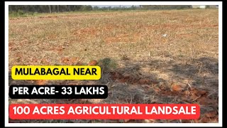 100 Acres Agricultural land for sale || mulabagal near