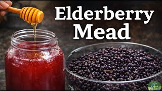 Making Elderberry Mead with Homegrown Honey | Fermentation & Cultures