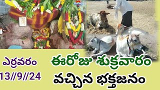 ఈరోజు శుక్రవారం 13//9//24ఎర్రవరం బాల ఉగ్ర లక్ష్మీ నరసింహ స్వామి సన్నిధిలో భక్తజనం