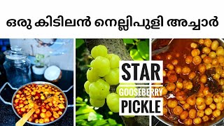 ഒരു കിടിലൻ നെല്ലിപുളി അച്ചാർ|Fresh Star Gooseberry Pickle Recipe|Kerala Style|Malayalam|Tonz Heaven