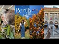 PERTH TRAVEL VLOG 🇦🇺 🦘 7 days in Perth Australia, things to do, popular attractions 🐨✈️