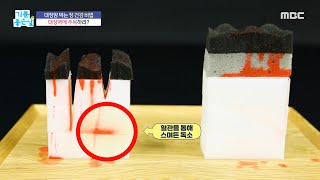 [기분 좋은 날] 대장벽, 두꺼우면 장 건강에 도움된다?, MBC 211203 방송