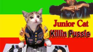 Junior Cat- Killin Pussie