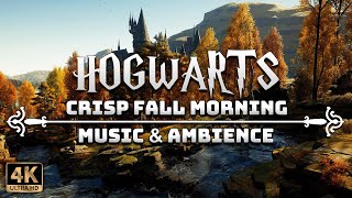 A Crisp Fall Morning at Hogwarts 🍁 | 4K Harry Potter Music \u0026 Ambience