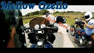 T-sportin' thru the Ozello Trail