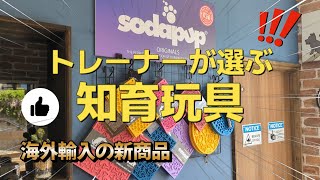 【知育玩具】海外輸入の新商品！犬のおもちゃコレクションに追加必須！ついに販売開始！トレーナーが勧めるおもちゃ