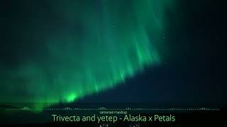 Trivecta and yetep - Alaska x Petals