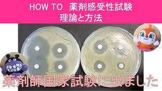 HOW TO 薬剤感受性試験　解説動画