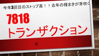 【今年3銘柄目のストップ高はこちら】7818　　トランザクション　　購入から10日でストップ高を達成！上昇トレンドの押し目＋エンベローブ下線接地として取引している銘柄となります！