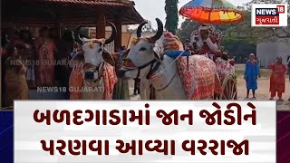 Valsad News | બળદગાડામાં જાન જોડીને પરણવા આવ્યા વરરાજા | traditional wedding | N18v