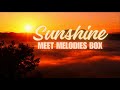 Sunshine - Meet Melodies Box | #flstudio21  #studio  #project