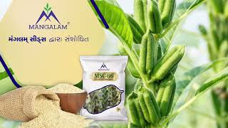 Mangalam seeds Res.Sesamum MSC-66