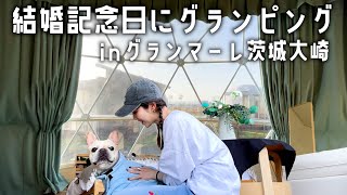 【vlog】グランピングに沼りつつあるフレンチブルドッグとその一家【結婚記念日】