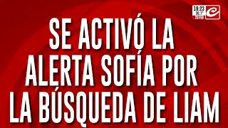 Se activó la alerta Sofía por la búsqueda de Liam