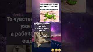 Всех с праздником и с выходными ;) #юмор #приколы #смех #ржака #memes