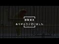 【コザクラインコ】おしゃべり（連射しすぎるiphoneのシャッター音の音マネをします）