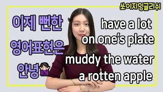 이제 뻔한 영어표현 그만 ❌ have a lot on one's plate, muddy the water, a rotten apple 등등 🚀 #네이티브영어 #기초영어회화