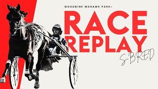 Mohawk, Sbred, December 30, 2024 Race 1 | Woodbine Horse Race Replay