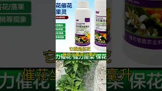 辣椒喷上它开花结果用车拉 #传播农业小知识 #三农种植 #三农 快手