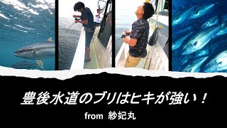 【ジギング】豊後水道のジギングはヤバい‼