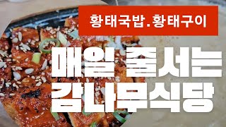 3시전에 가도 못 먹을 수 있는 대박 맛집 강원도 감나무식당 황태국밥  황태구이 맛집