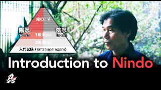 Introduction to Nindo