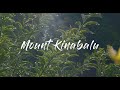 Mount Kinabalu 2023  |  Day 1