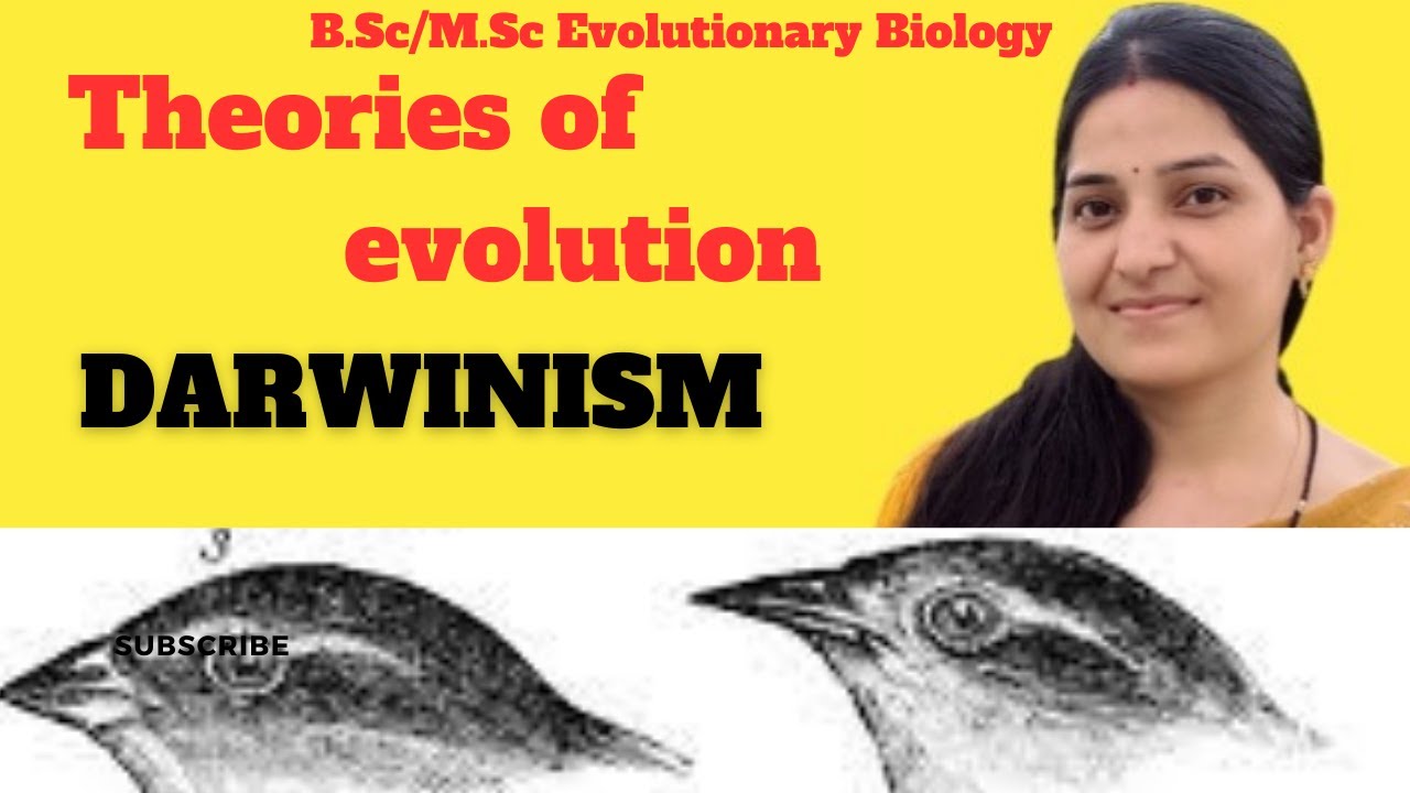 Darwinism||Theory Of Evolution B.sc 3rd Year||Darwinism Theory Of ...