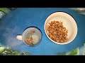 walnut tea