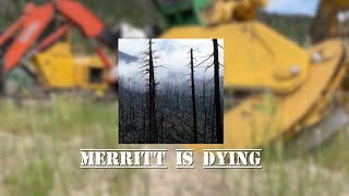 Forestry In Merritt