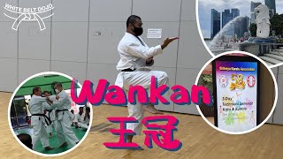 白帶道場 White Belt Dojo Kata011 - 糸東流空手道形「王冠」示範 Demonstration of Shitoryu Karatedo Kata ‘Wankan’