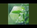 Purify the Mind SPA