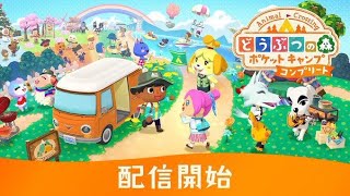 釣り大会ポケ森夜ルーティンやるぞ！#12(どうぶつの森ポケットキャンプ コンプリート)