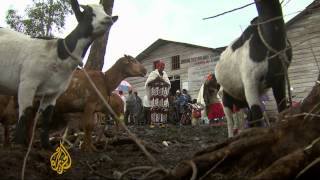 DR Congo's displaced struggle to survive