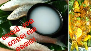 Pohala fish curry || Pohala fish with Leftover Rice Water ୲୲