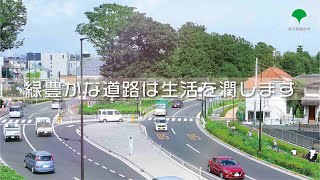 道路整備でどう変わる？～街路事業の役割～＜環境編＞