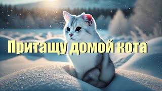 «Притащу домой кота» душевный шансон