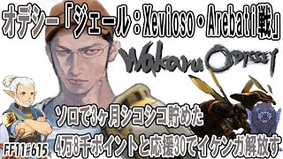 オデシー 「ジェール：Xevioso・Arebati戦」ソロでシコシコ貯めた4万8千ポイントと応援30でイケンガ装束解放す　[FF11#615]