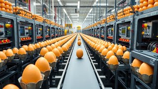 Eggs Mega Factory: How Millions of Eggs Are Produced Daily in America’s Poultry Farms