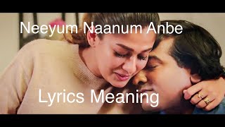Neeyum Naanum Anbe Lyrics Meaning | Imaikkaa Nodigal Song