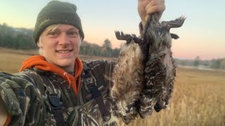 2021 Michigan trapline part#1 ( Beaver trapping, muskrat trapping )