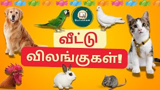 வீட்டு விலங்குகள் - Domestic Animals in Tamil | Learn Tamil