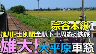 【宗谷本線1】雄大な北海道の大平原！旭川-士別間全駅下車周遊の鉄旅