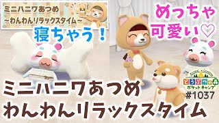 【ポケ森】ミニハニワあつめ～わんわんリラックスタイム～スタート！【どうぶつの森ポケットキャンプ】 無課金