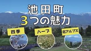 長野県池田町に移住しませんか？【池田町の３つの魅力を紹介】